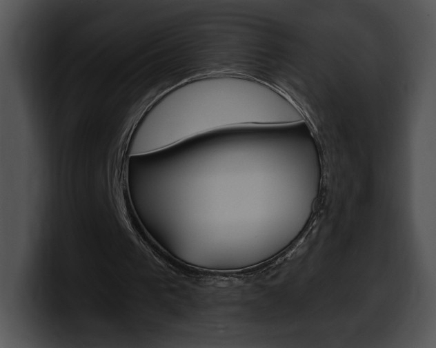 X0000100500193200806130736