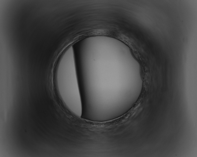 X0000100500194200806130736