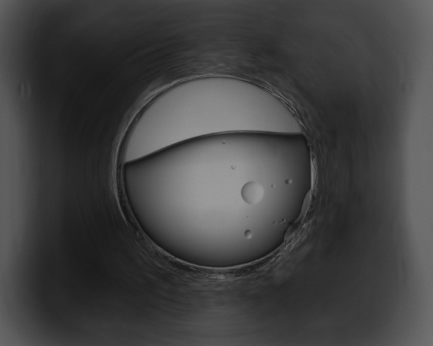 X0000100500195200806130736