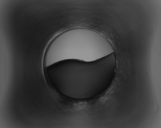 X0000100500196200806130736