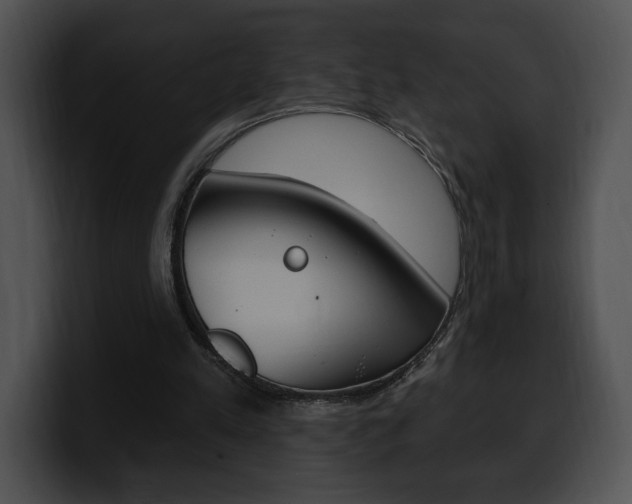 X0000100500197200806130736