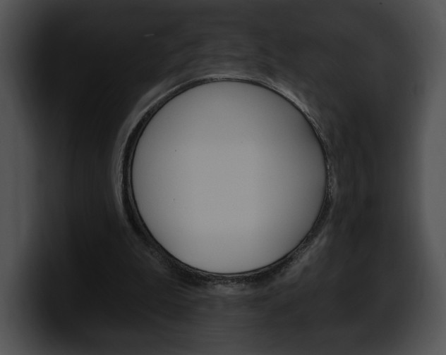 X0000100500199200806130736