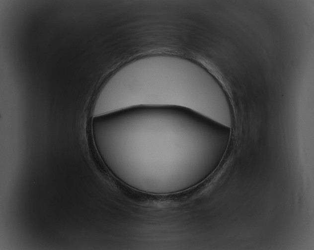 X0000100500201200806130736