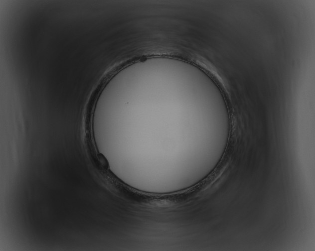 X0000100500203200806130736