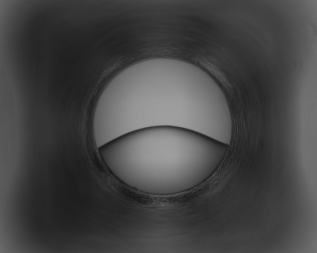 X0000100500207200806130736