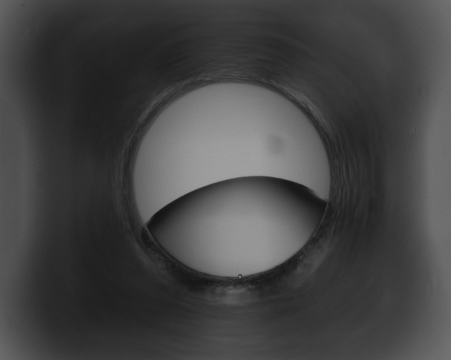 X0000100500208200806130736