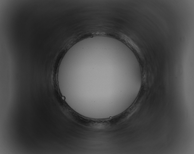 X0000100500209200806130736