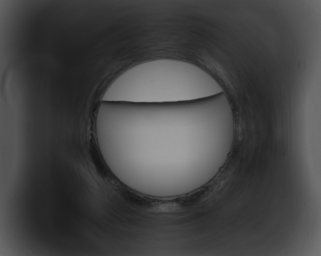 X0000100500210200806130736