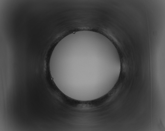 X0000100500211200806130736