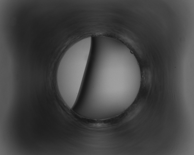 X0000100500212200806130736