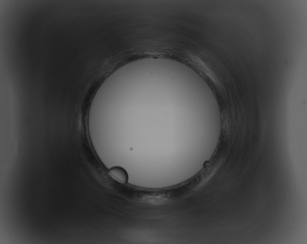 X0000100500213200806130736