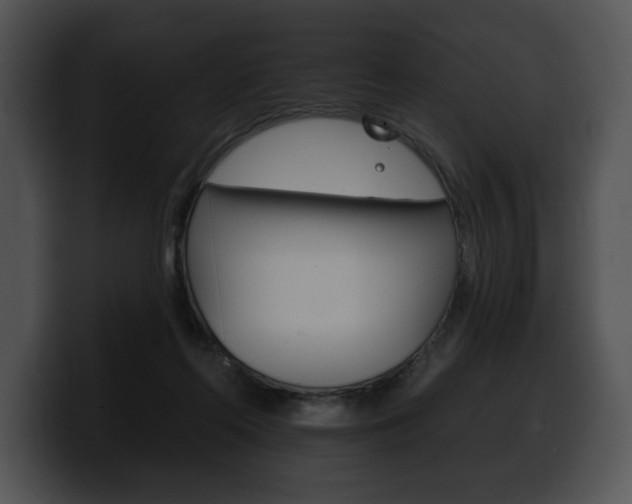 X0000100500214200806130736