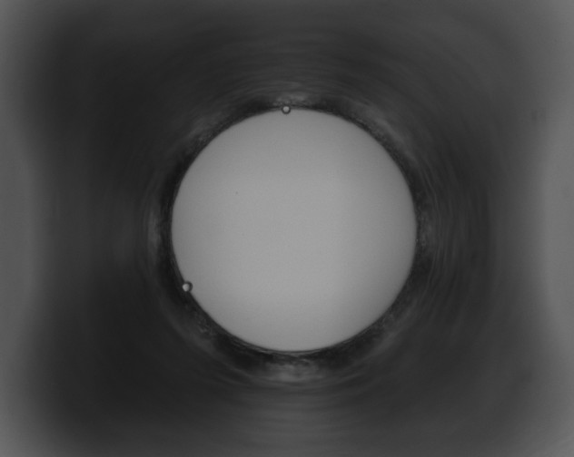 X0000100500215200806130736