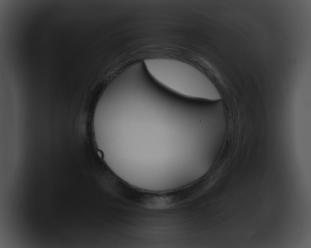 X0000100500217200806130736