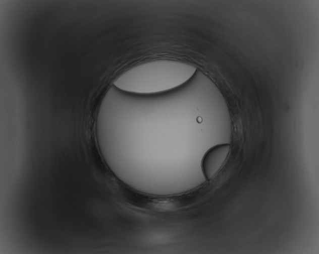 X0000100500218200806130736