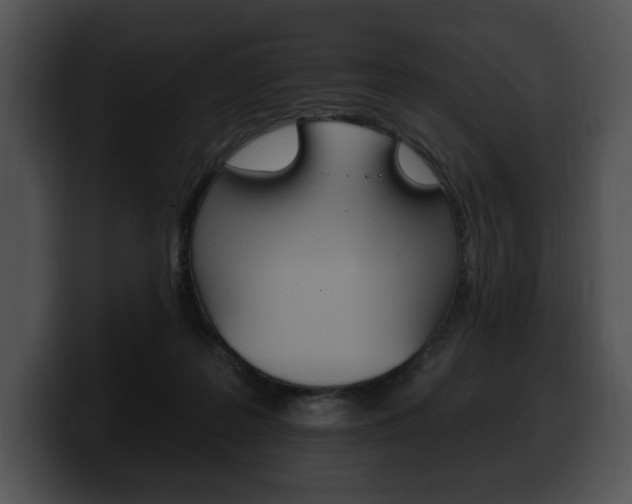 X0000100500219200806130736