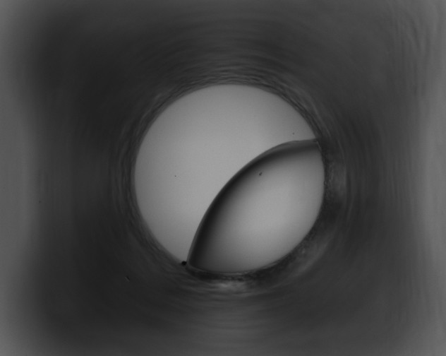 X0000100500220200806130736