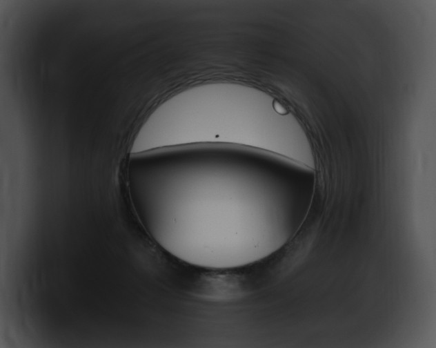 X0000100500221200806130736