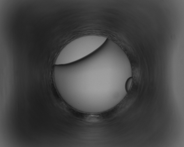 X0000100500222200806130736