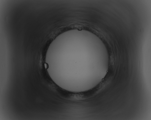 X0000100500223200806130736