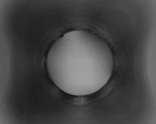 X0000100500225200806130736