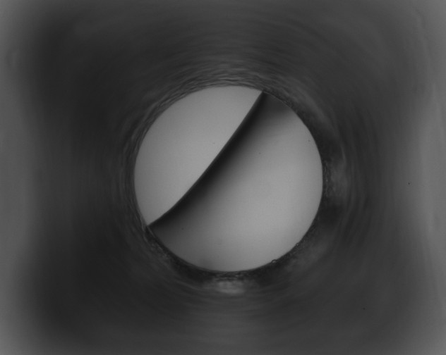 X0000100500228200806130736