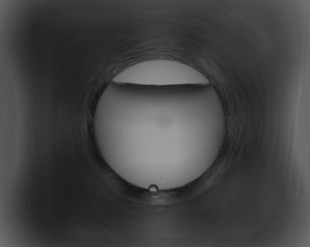 X0000100500229200806130736