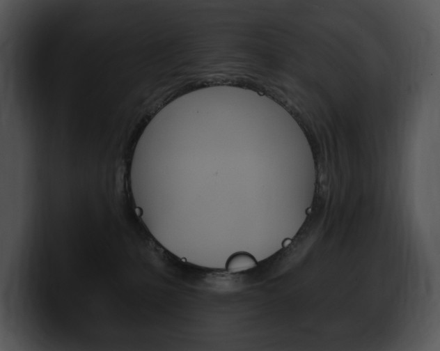 X0000100500231200806130736