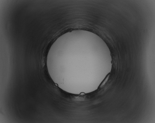 X0000100500232200806130736