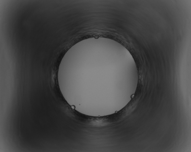 X0000100500235200806130736