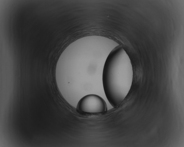 X0000100500236200806130736