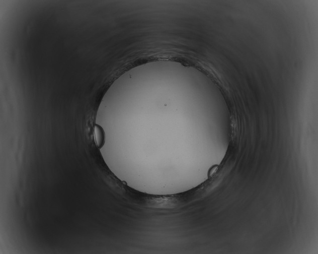 X0000100500237200806130736