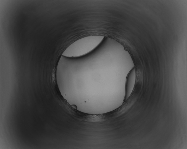 X0000100500238200806130736