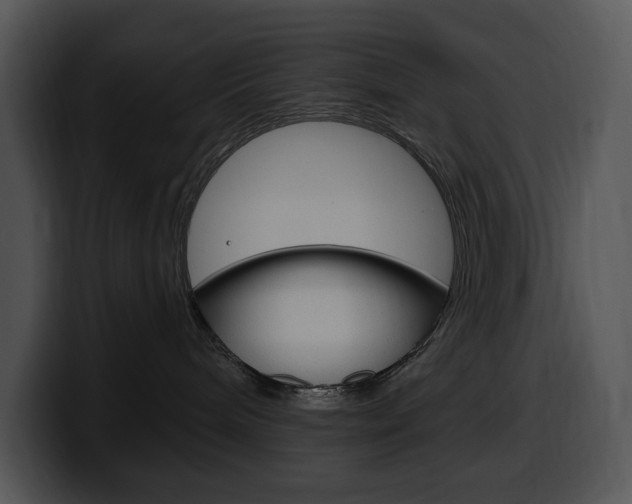 X0000100500240200806130736