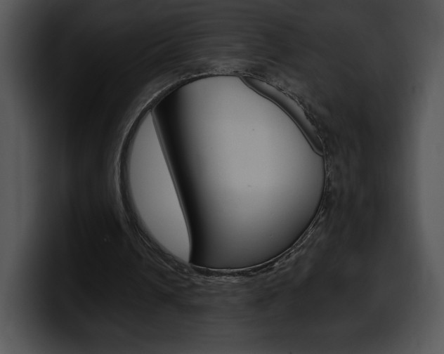 X0000100500242200806130735