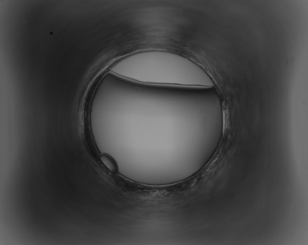 X0000100500243200806130735