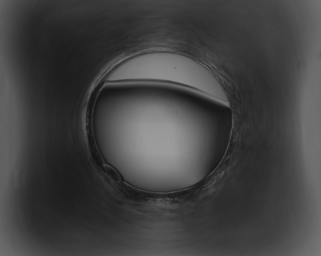 X0000100500244200806130735