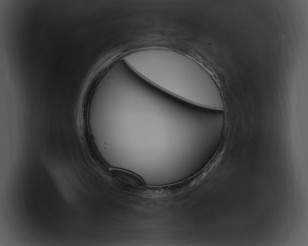 X0000100500245200806130735