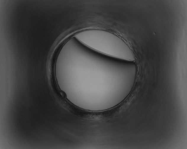 X0000100500247200806130735