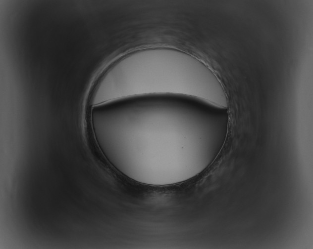 X0000100500248200806130735