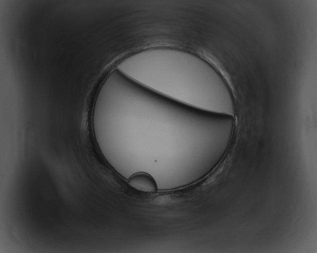 X0000100500249200806130735