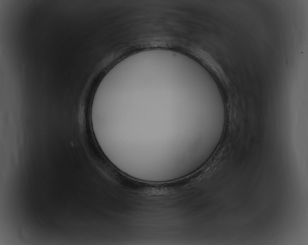 X0000100500250200806130735