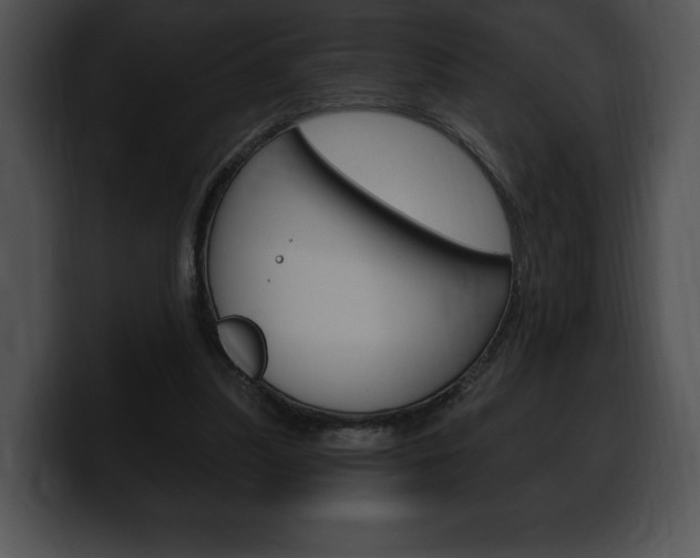 X0000100500251200806130735