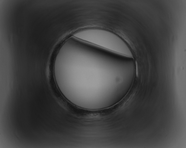 X0000100500252200806130735