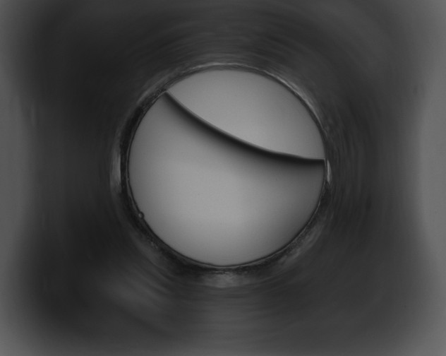 X0000100500253200806130735