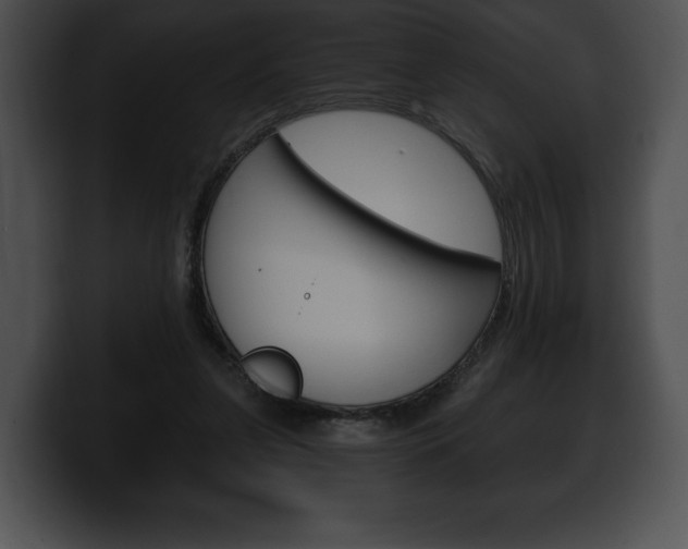 X0000100500255200806130735