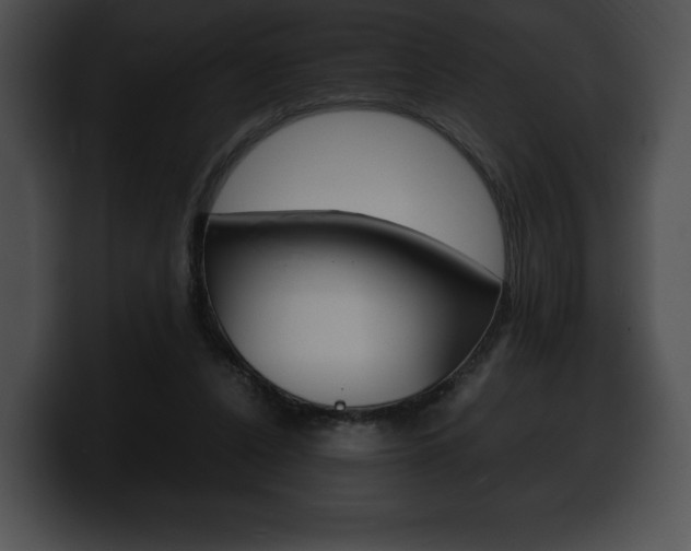 X0000100500256200806130735