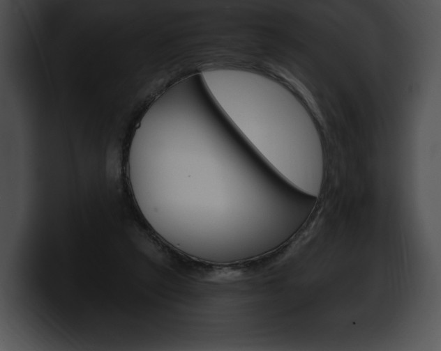 X0000100500257200806130735