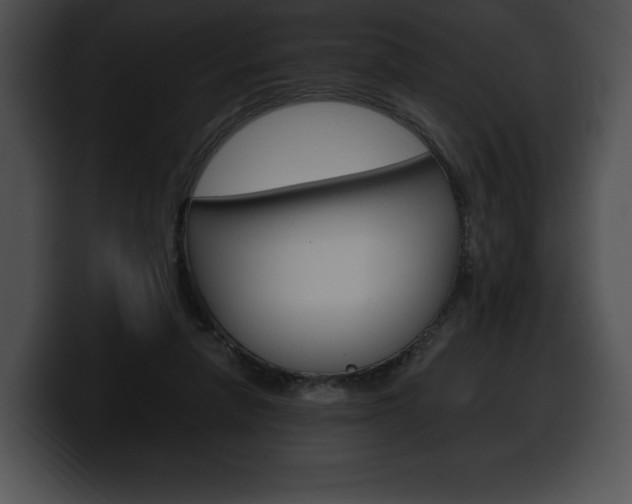 X0000100500258200806130735