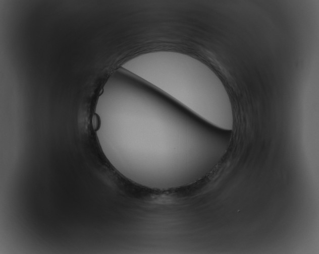 X0000100500259200806130735